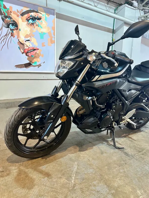 Yamaha 300 MT 03 Foto #11