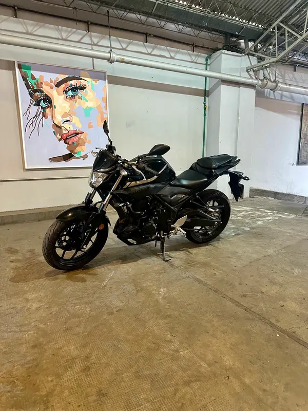 Yamaha 300 MT 03 Foto #15