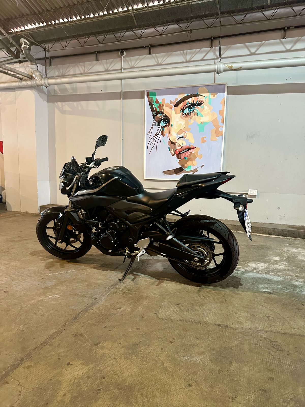 Yamaha 300 MT 03 Foto #14
