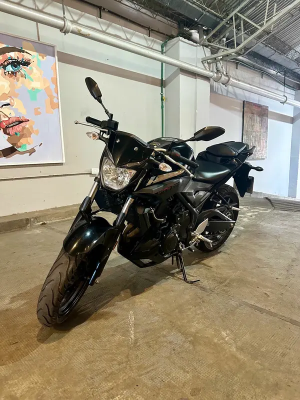 Yamaha 300 MT 03 Foto #12
