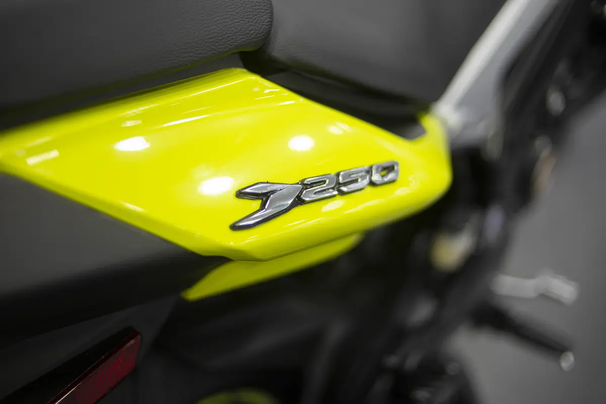Bajaj Dominar 250 Foto #6