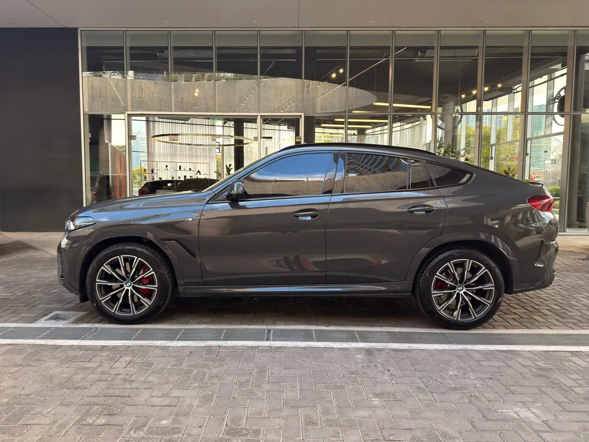 BMW X6 Foto #8