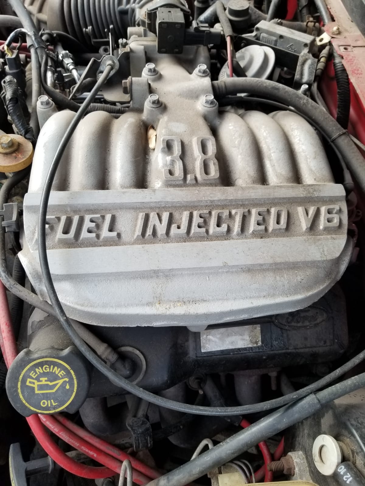 Mirá esta publicación de Ford Mustang