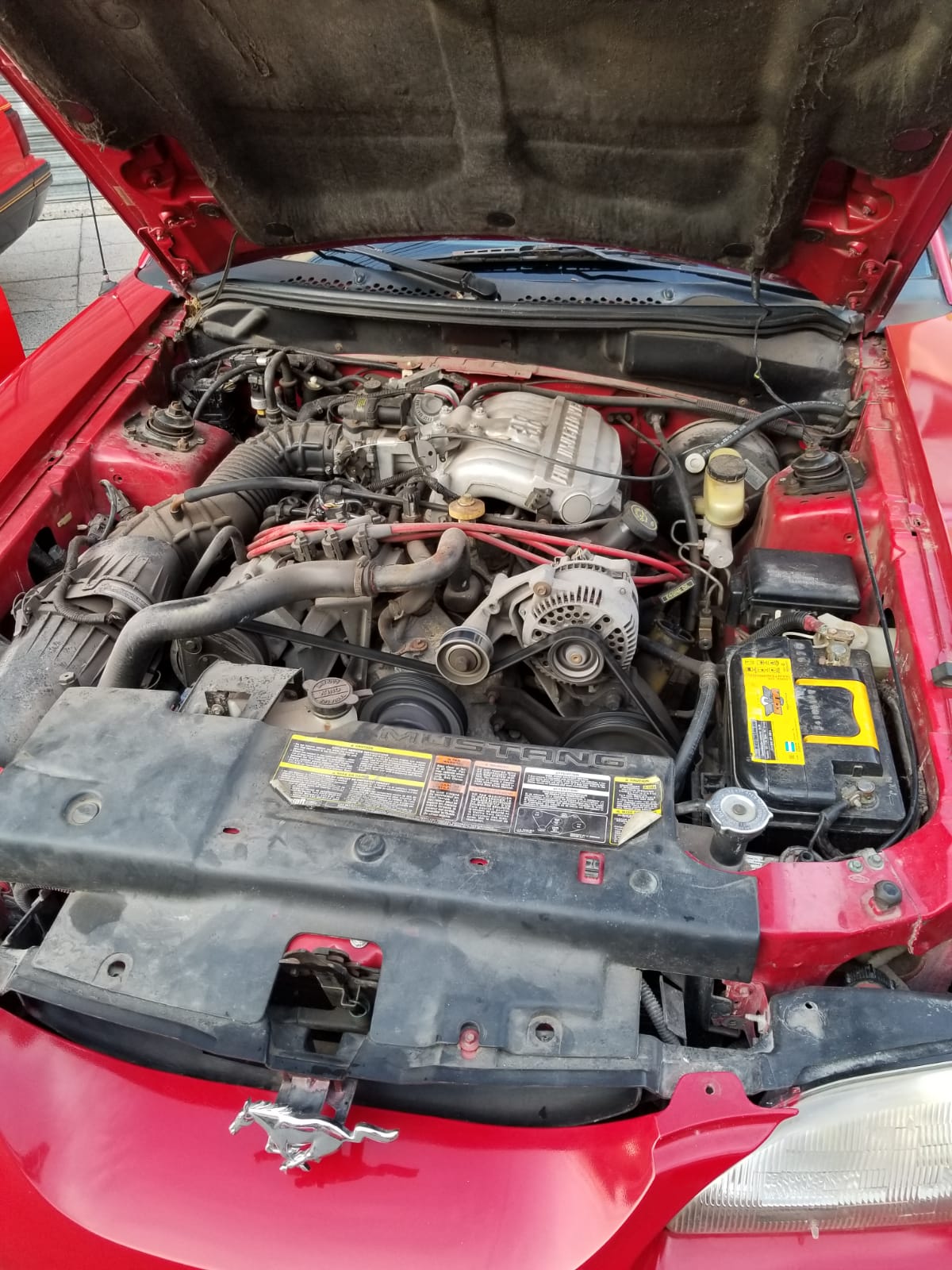 Mirá esta publicación de Ford Mustang
