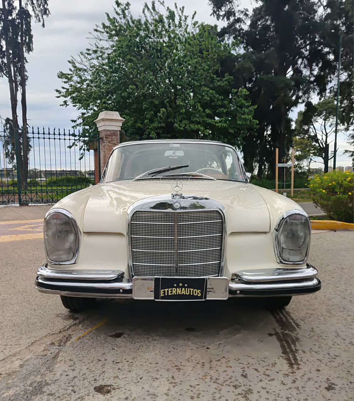 Mirá esta publicación de Mercedes Benz 220