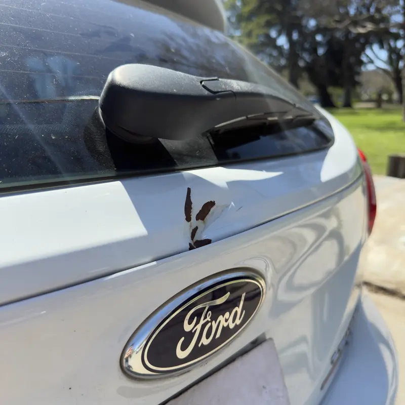 Mirá esta publicación de Ford Focus