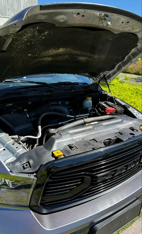 Mirá esta publicación de RAM 1500