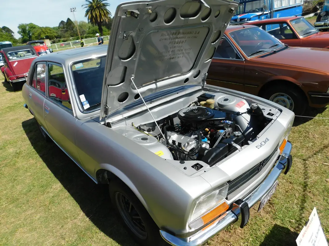 Mira esta publicación de Peugeot 504 1981 en Motordil