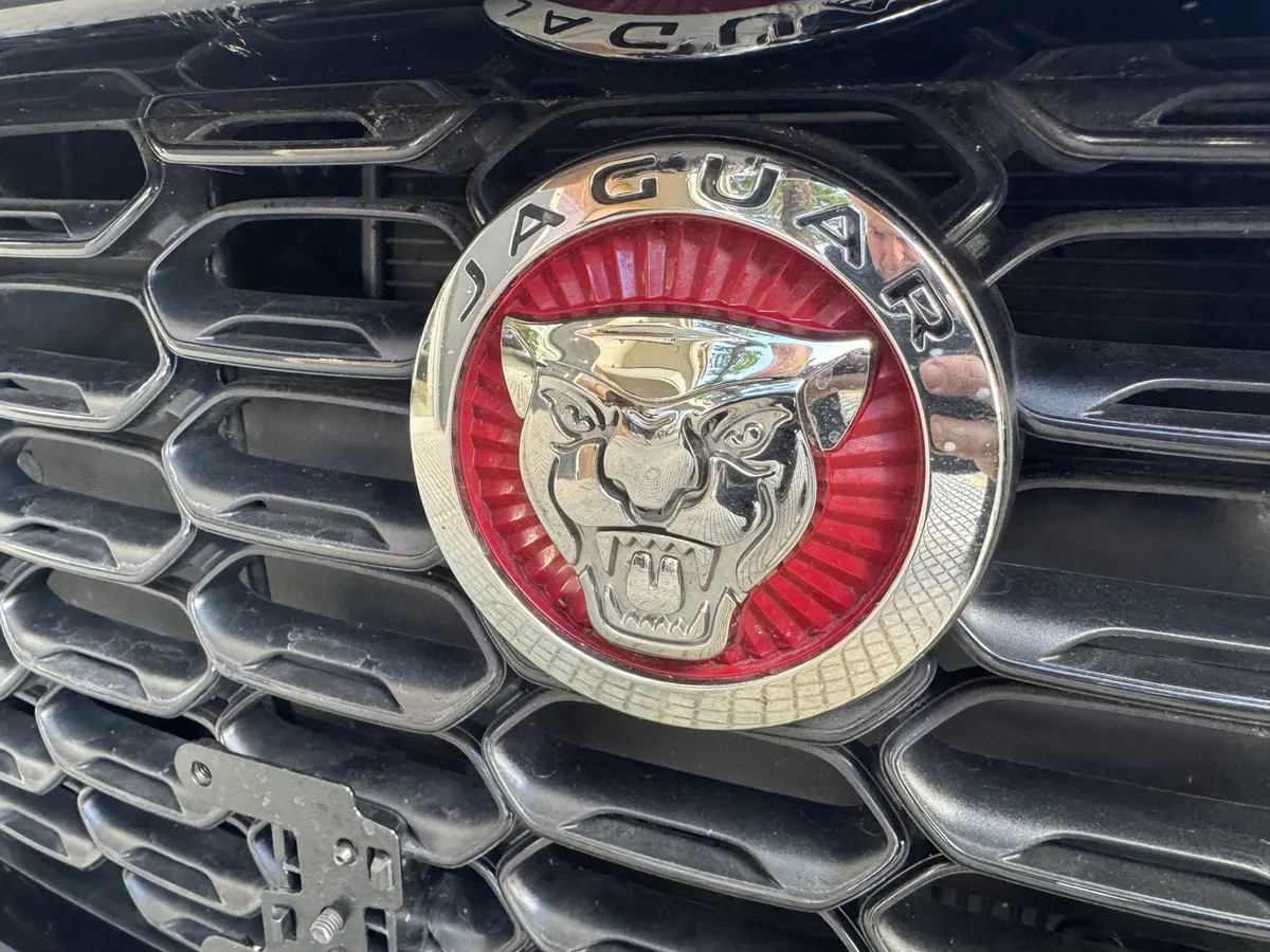 Mirá esta publicación de Jaguar F Type