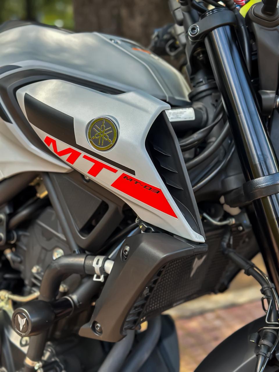 Mira esta publicación de Yamaha 300 MT 03 2021 en Motordil