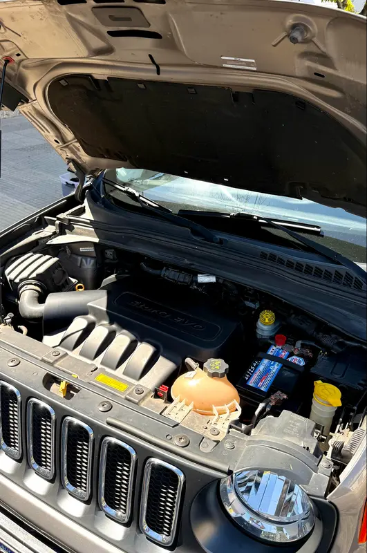 Mirá esta publicación de Jeep Renegade