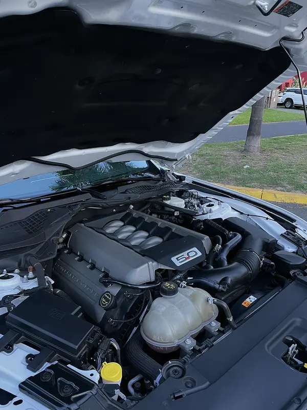 Mira esta publicación de Ford Mustang 2017 en Motordil