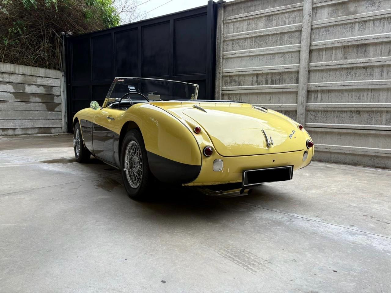 Mirá esta publicación de Austin-Healey 100