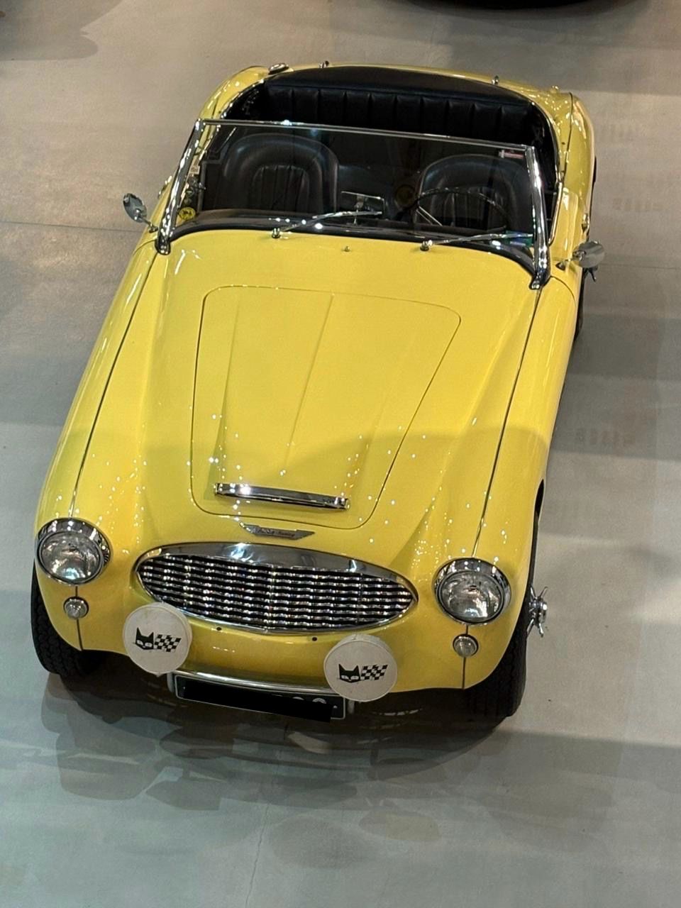 Mirá esta publicación de Austin-Healey 100