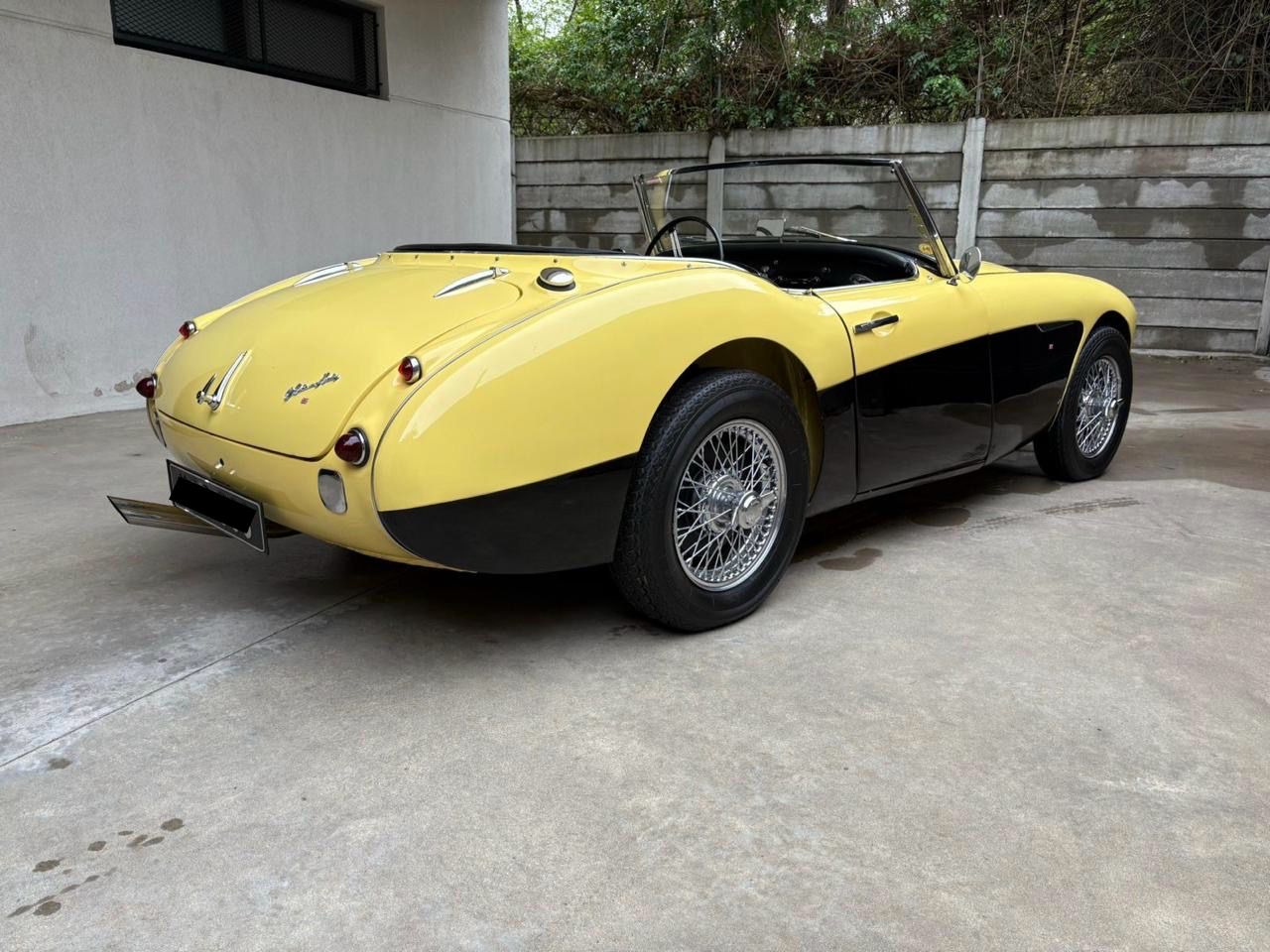 Mirá esta publicación de Austin-Healey 100