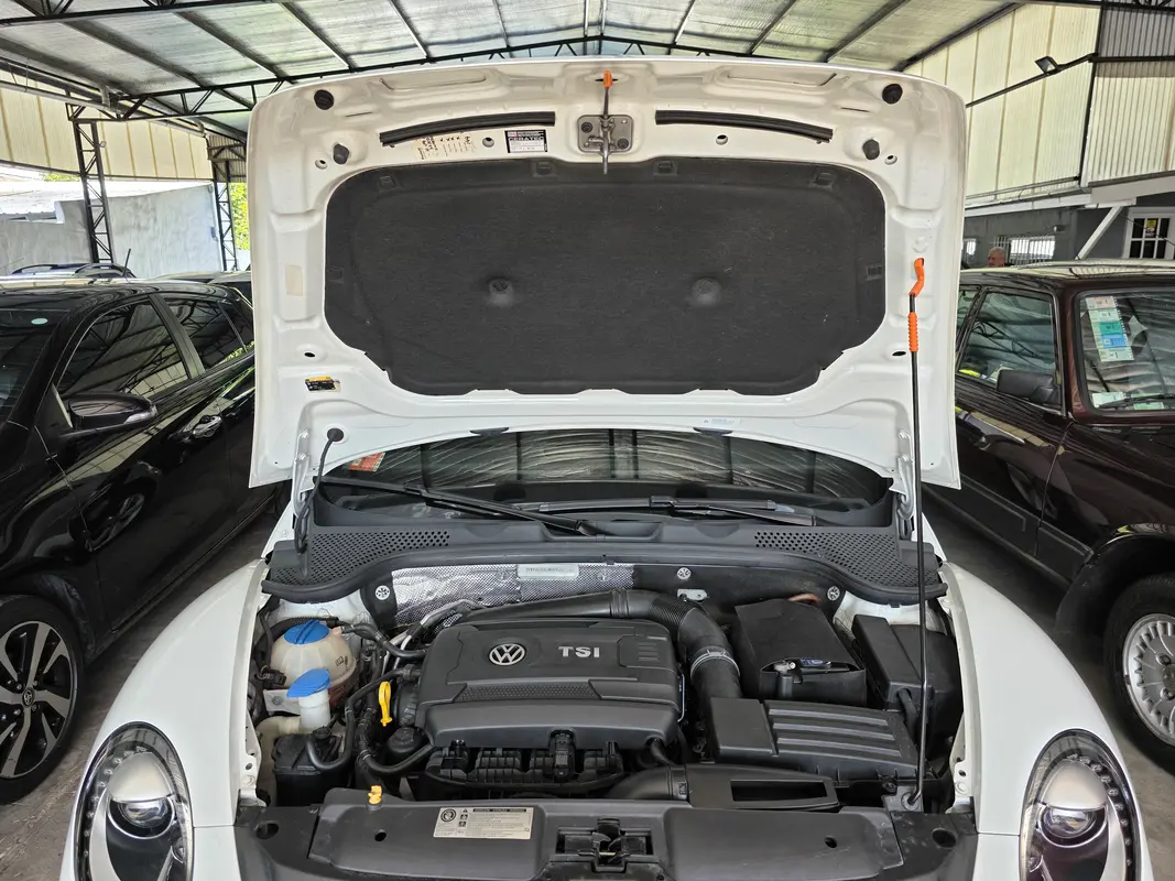 Mirá esta publicación de Volkswagen The Beetle