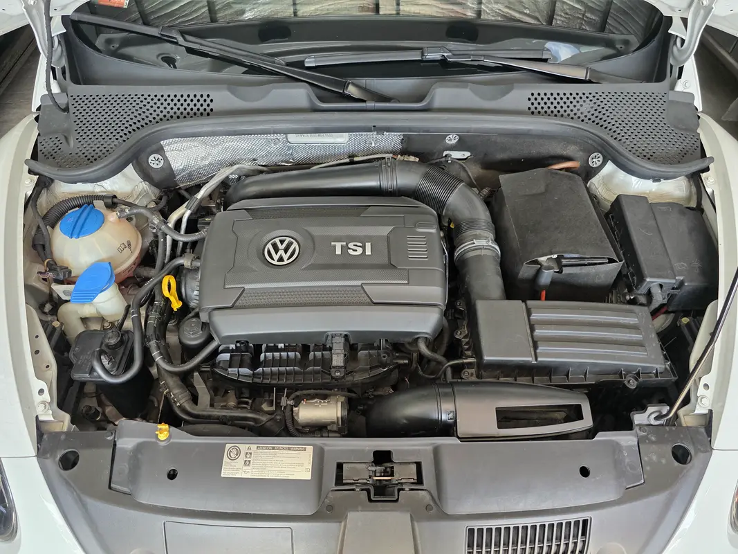 Mirá esta publicación de Volkswagen The Beetle