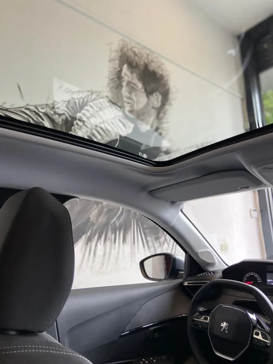 Mirá esta publicación de Peugeot 208