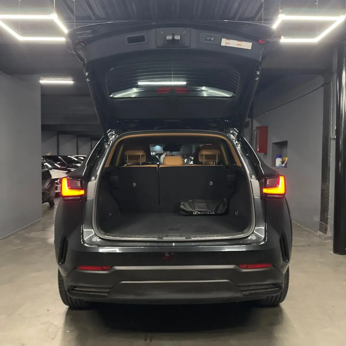 Mira esta publicación de Lexus NX 2023 en Motordil