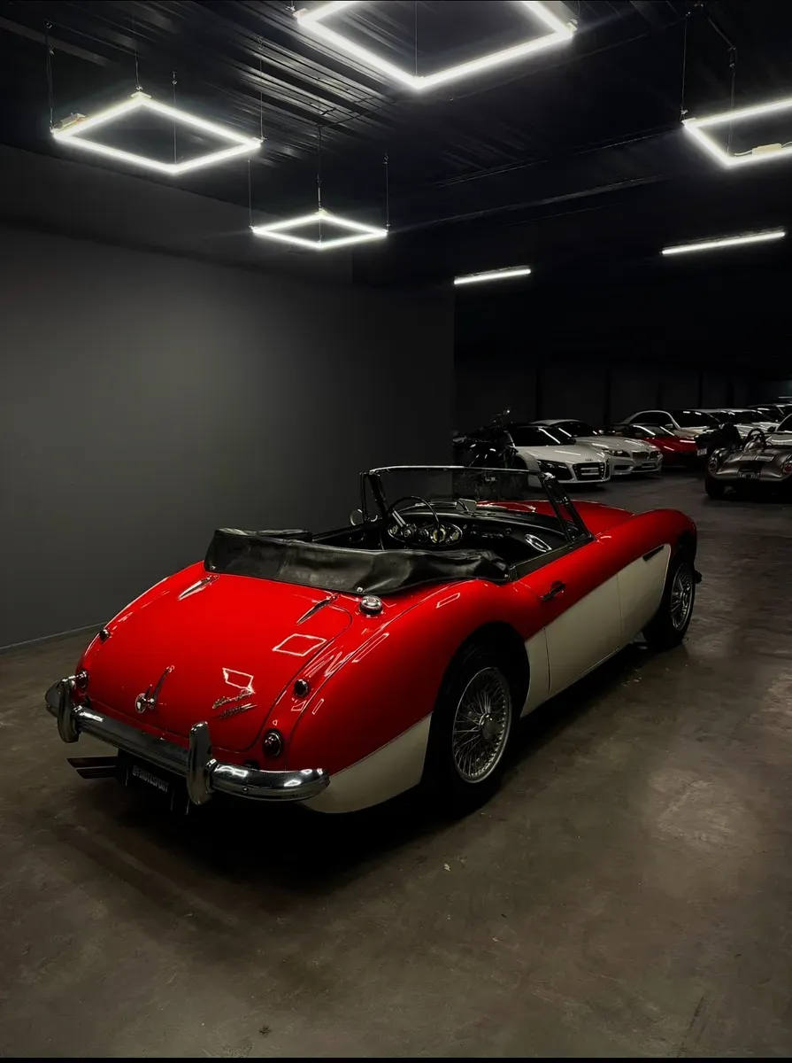 Mira esta publicación de Austin-Healey 3000 1961 en Motordil