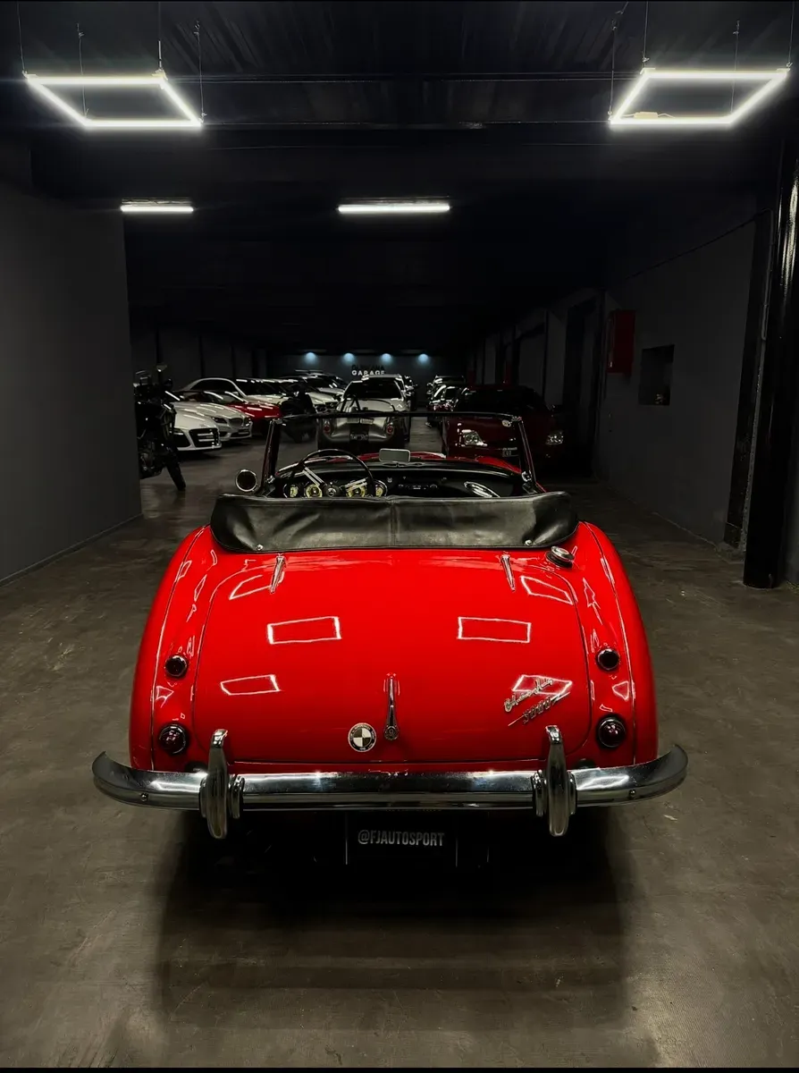 Mira esta publicación de Austin-Healey 3000 1961 en Motordil