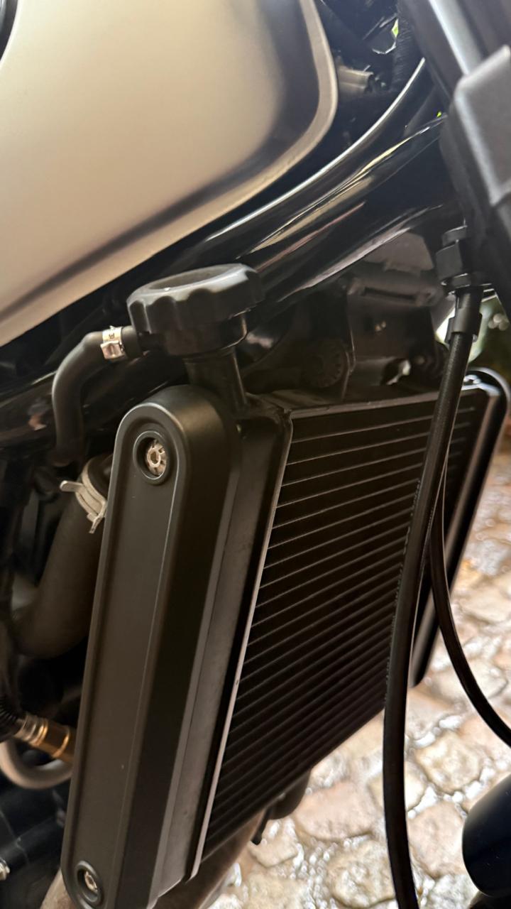 Mirá esta publicación de Benelli Leoncino 500